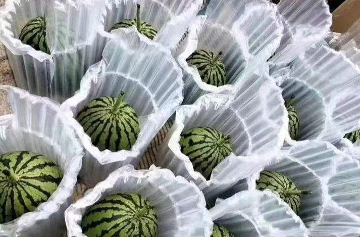 西瓜气柱袋